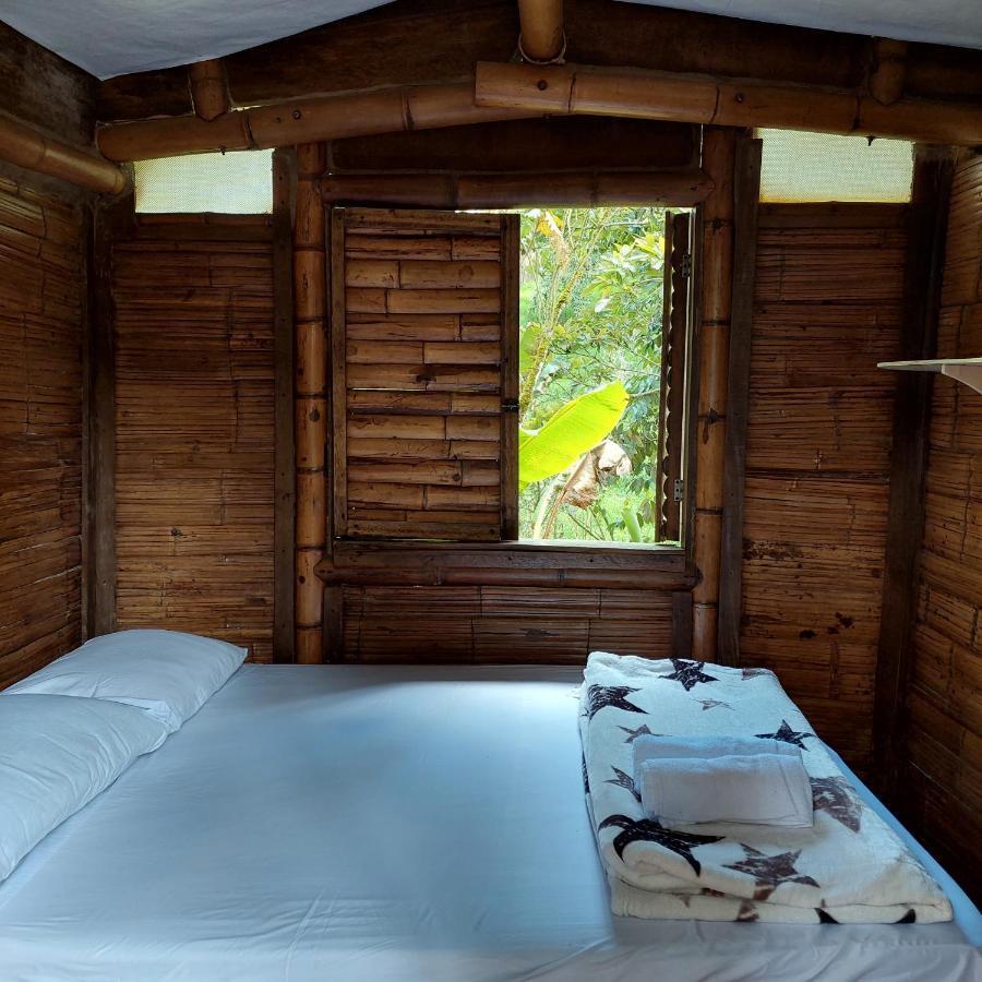 Hostal La Pijarana Salento Dış mekan fotoğraf