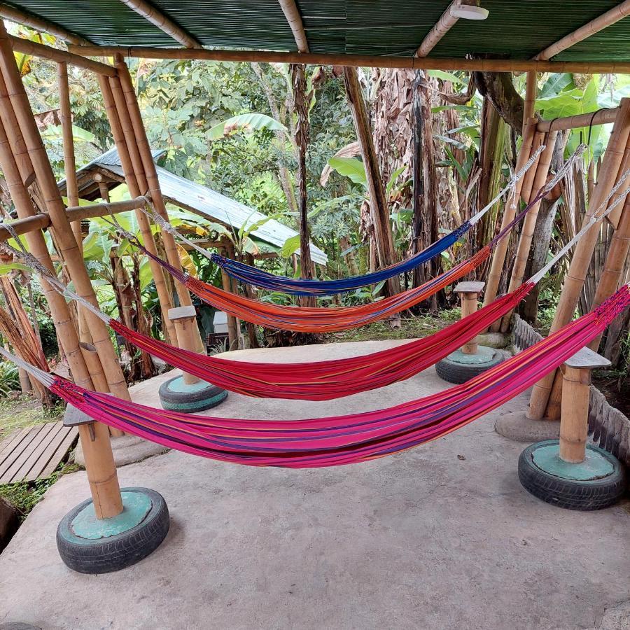 Hostal La Pijarana Salento Dış mekan fotoğraf