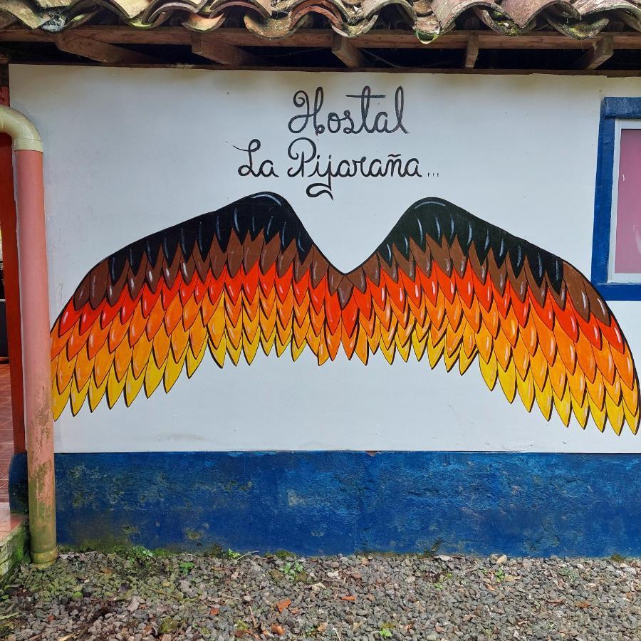 Hostal La Pijarana Salento Dış mekan fotoğraf